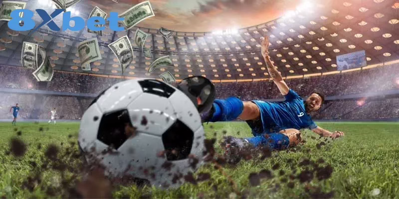 Quy trình cược bóng đá chi tiết hội viên cần biết